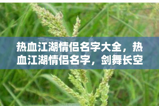 热血江湖情侣名字大全，热血江湖情侣名字，剑舞长空，情深缥缈