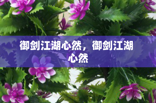 御剑江湖心然，御剑江湖 心然