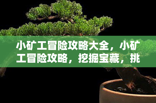 小矿工冒险攻略大全，小矿工冒险攻略，挖掘宝藏，挑战未知！