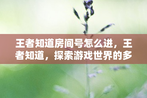 王者知道房间号怎么进，王者知道，探索游戏世界的多元体验与官方服务的独特优势