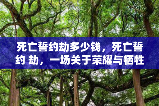 死亡誓约劫多少钱，死亡誓约 劫，一场关于荣耀与牺牲的传奇之旅