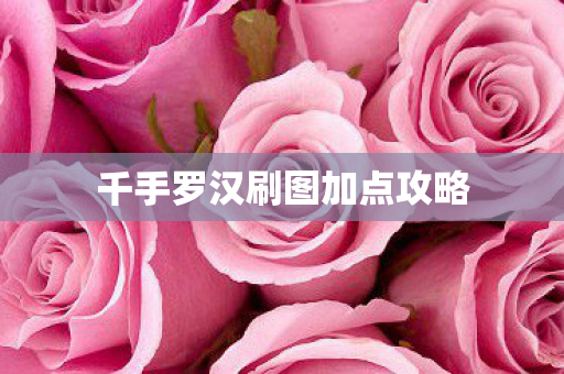 千手罗汉刷图加点攻略