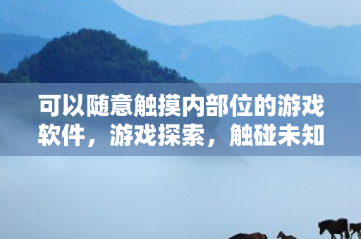 可以随意触摸内部位的游戏软件，游戏探索，触碰未知的乐趣