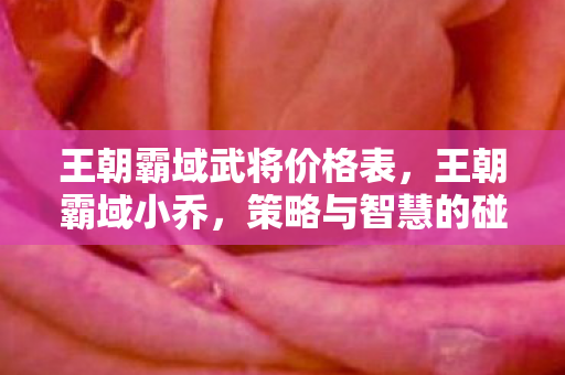 王朝霸域武将价格表，王朝霸域小乔，策略与智慧的碰撞