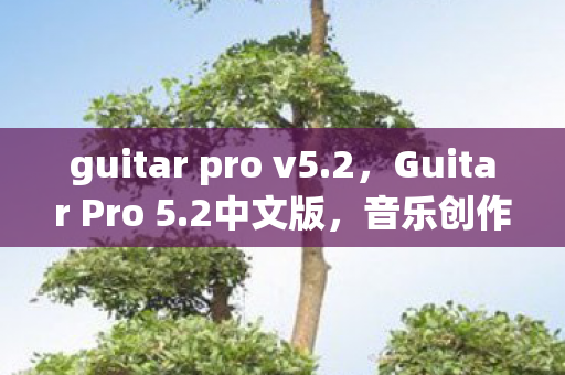 guitar pro v5.2，Guitar Pro 5.2中文版，音乐创作的得力助手