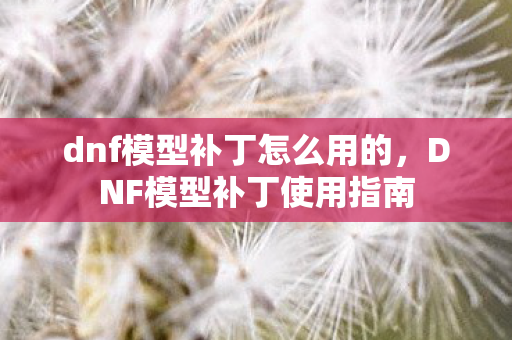 dnf模型补丁怎么用的，DNF模型补丁使用指南