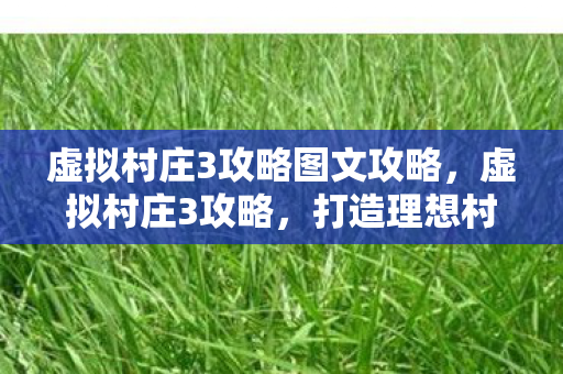 虚拟村庄3攻略图文攻略，虚拟村庄3攻略，打造理想村庄的全方位指南