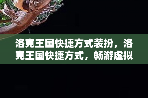 洛克王国快捷方式装扮，洛克王国快捷方式，畅游虚拟王国的便捷之道
