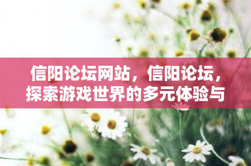 信阳论坛网站，信阳论坛，探索游戏世界的多元体验与社区互动