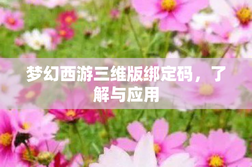 梦幻西游三维版绑定码,了解与应用 梦幻西游三维版绑定码,了解与应用