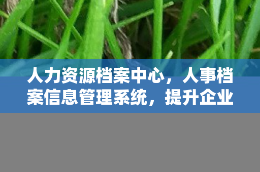 人力资源档案中心，人事档案信息管理系统，提升企业管理效率的关键工具