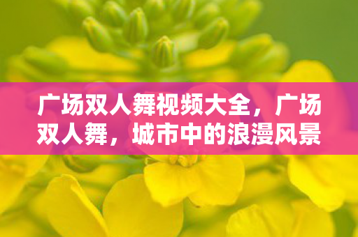 广场双人舞视频大全，广场双人舞，城市中的浪漫风景线