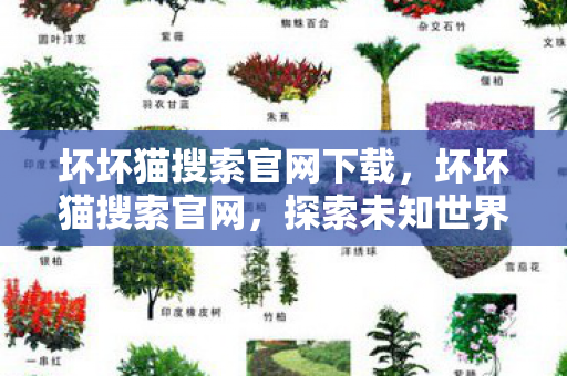 坏坏猫搜索官网下载，坏坏猫搜索官网，探索未知世界的便捷工具