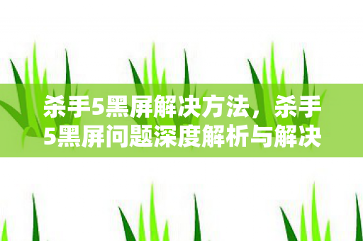杀手5黑屏解决方法，杀手5黑屏问题深度解析与解决之道