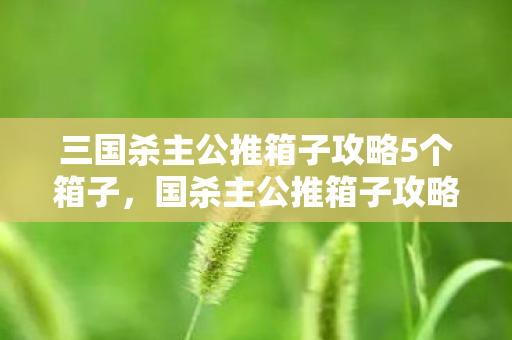 三国杀主公推箱子攻略5个箱子，国杀主公推箱子攻略，策略与技巧的深度剖析