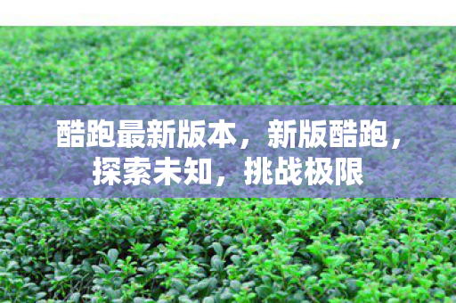 酷跑最新版本，新版酷跑，探索未知，挑战极限