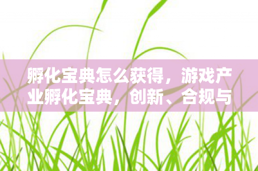 孵化宝典怎么获得，游戏产业孵化宝典，创新、合规与可持续发展的关键