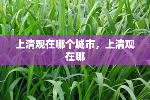 上清观在哪个城市，上清观在哪