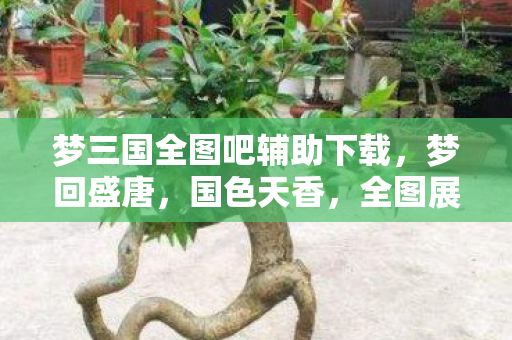 梦三国全图吧辅助下载，梦回盛唐，国色天香，全图展现华夏之美