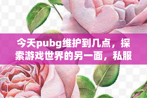 今天pubg维护到几点，探索游戏世界的另一面，私服与官方服务的独特魅力