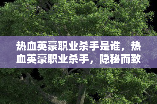 热血英豪职业杀手是谁，热血英豪职业杀手，隐秘而致命的艺术