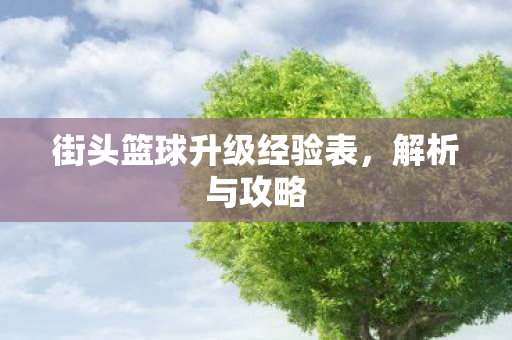 街头篮球升级经验表，解析与攻略