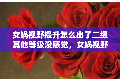 女娲视野提升怎么出了二级其他等级没感觉，女娲视野，探索游戏世界的无限可能