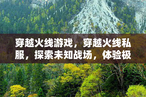 穿越火线游戏，穿越火线私服，探索未知战场，体验极致射击乐趣