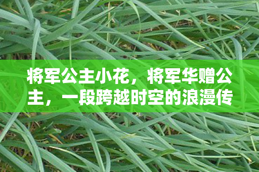 将军公主小花，将军华赠公主，一段跨越时空的浪漫传奇