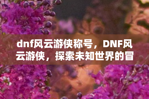 dnf风云游侠称号，DNF风云游侠，探索未知世界的冒险之旅