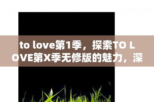 to love第1季，探索TO LOVE第X季无修版的魅力，深度解析与观感体验