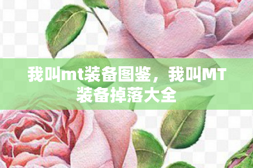 我叫mt装备图鉴，我叫MT装备掉落大全