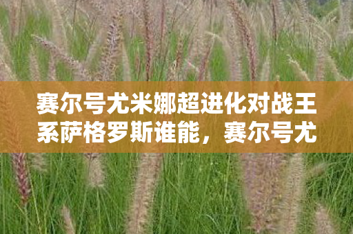 赛尔号尤米娜超进化对战王系萨格罗斯谁能，赛尔号尤米娜超进化，探索宇宙深处的神秘力量