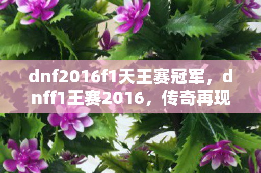 dnf2016f1天王赛冠军，dnff1王赛2016，传奇再现，经典永存