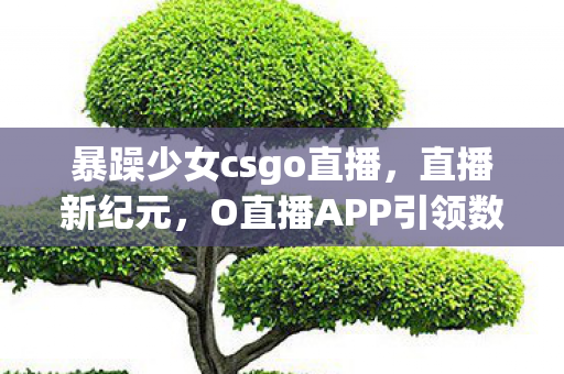 暴躁少女csgo直播，直播新纪元，O直播APP引领数字娱乐新风尚