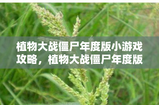 植物大战僵尸年度版小游戏攻略，植物大战僵尸年度版小游戏，重温经典，策略与乐趣并存
