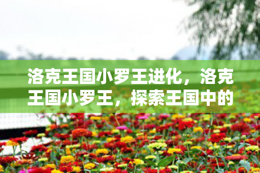 洛克王国小罗王进化，洛克王国小罗王，探索王国中的奇妙冒险