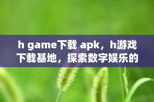 h game下载 apk，h游戏下载基地，探索数字娱乐的无限可能