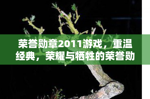 荣誉勋章2011游戏，重温经典，荣耀与牺牲的荣誉勋章2011
