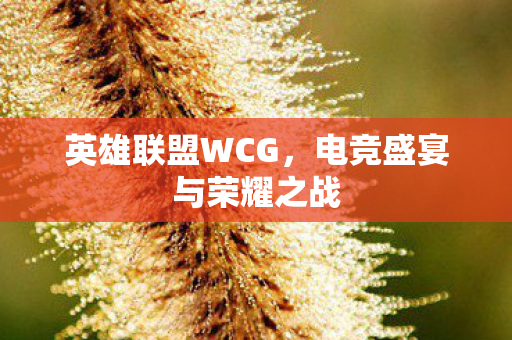 英雄联盟WCG，电竞盛宴与荣耀之战