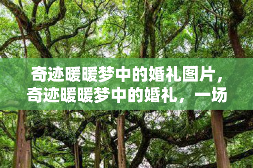 奇迹暖暖梦中的婚礼图片，奇迹暖暖梦中的婚礼，一场虚拟世界的浪漫盛宴