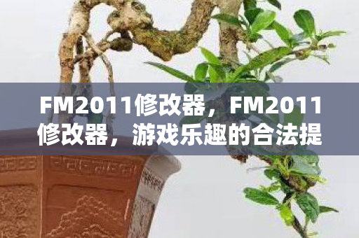 FM2011修改器，FM2011修改器，游戏乐趣的合法提升工具