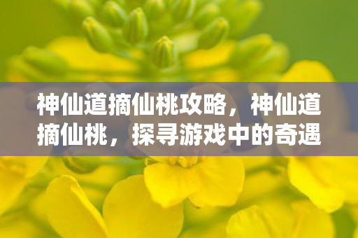 神仙道摘仙桃攻略，神仙道摘仙桃，探寻游戏中的奇遇与乐趣