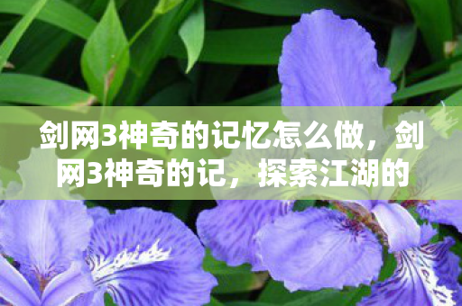 剑网3神奇的记忆怎么做，剑网3神奇的记，探索江湖的无限可能