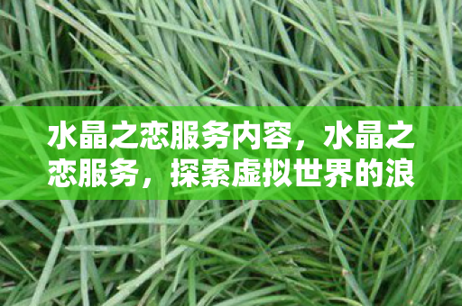 水晶之恋服务内容，水晶之恋服务，探索虚拟世界的浪漫之旅