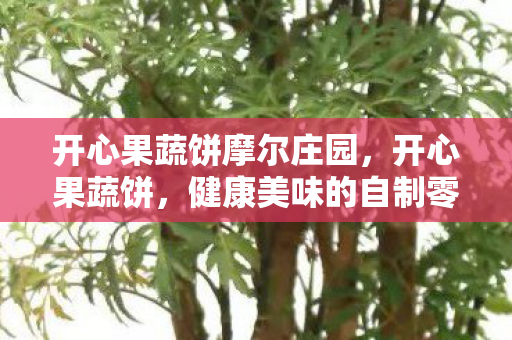 开心果蔬饼摩尔庄园，开心果蔬饼，健康美味的自制零食新选择