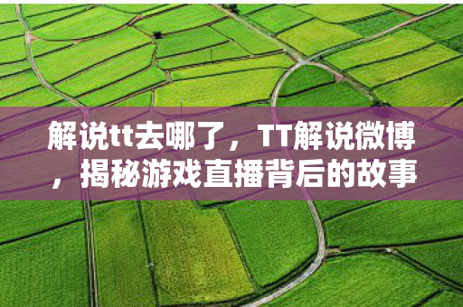 解说tt去哪了，TT解说微博，揭秘游戏直播背后的故事