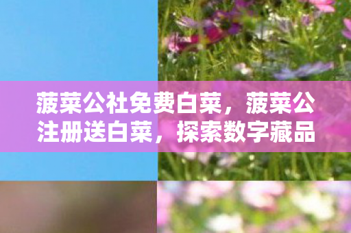 菠菜公社免费白菜，菠菜公注册送白菜，探索数字藏品新体验