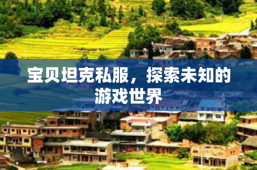 宝贝坦克私服，探索未知的游戏世界