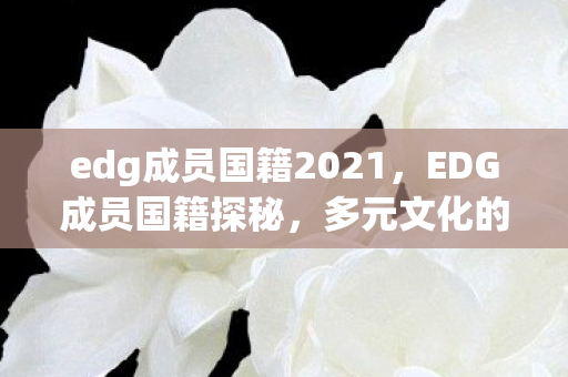 edg成员国籍2021，EDG成员国籍探秘，多元文化的电竞之星